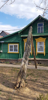 Упавшее дерево может оборвать электрические провода